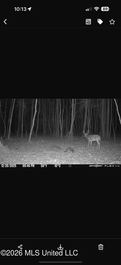 Other - 873 Bryan Rd, Walnut Grove, MS 39189 photo 42 of 49