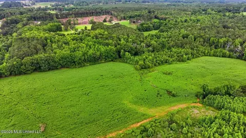Other - 873 Bryan Rd, Walnut Grove, MS 39189 photo 38 of 49