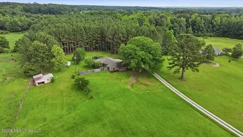 Other - 873 Bryan Rd, Walnut Grove, MS 39189 photo 19 of 49