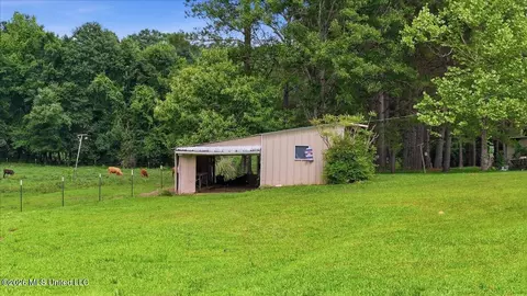 Exterior - 873 Bryan Rd, Walnut Grove, MS 39189 photo 7 of 8