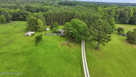 Other - 873 Bryan Rd, Walnut Grove, MS 39189 photo 20 of 49