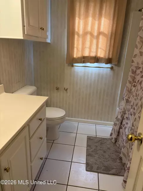 Bath - 456 Treles Dr, Madison, MS 39110 photo 1 of 3