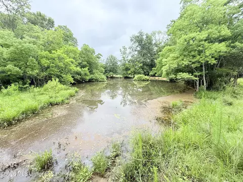 1015 Highway 51, Summit, MS 39666 photo 17