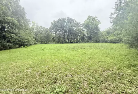 1015 Highway 51, Summit, MS 39666 photo 13