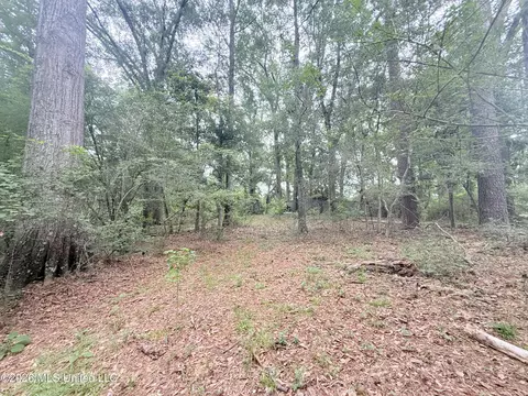 1015 Highway 51, Summit, MS 39666 photo 12