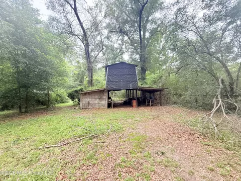 1015 Highway 51, Summit, MS 39666 photo 4