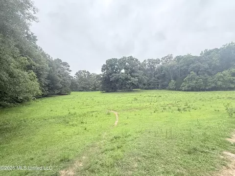 1015 Highway 51, Summit, MS 39666 photo 18
