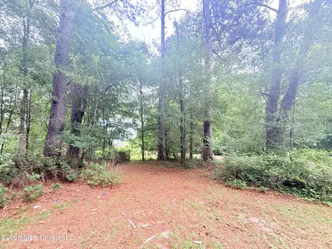 1015 Highway 51, Summit, MS 39666 photo 23