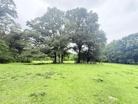 1015 Highway 51, Summit, MS 39666 photo 22