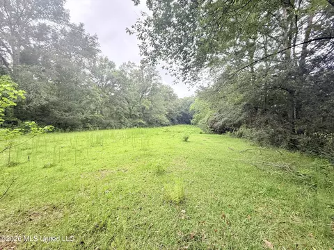 1015 Highway 51, Summit, MS 39666 photo 10