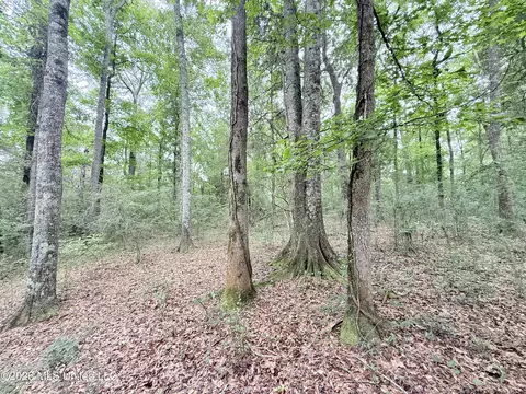 1015 Highway 51, Summit, MS 39666 photo 20