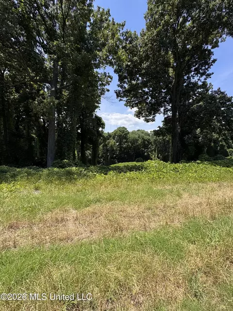 10533 Spring River Cv, Lake Cormorant, MS 38641