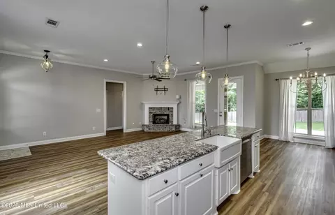 Living - 230 Falls Xing, Madison, MS 39110 photo 6 of 6