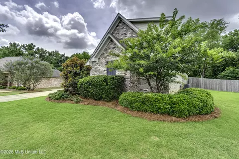 Exterior - 230 Falls Xing, Madison, MS 39110 photo 7 of 14