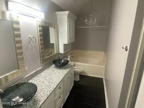 Bath - 557 Spring Hill Dr, Madison, MS 39110 photo 2 of 3