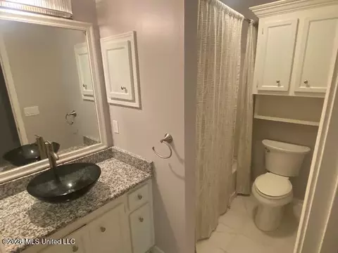 Bath - 557 Spring Hill Dr, Madison, MS 39110 photo 1 of 3