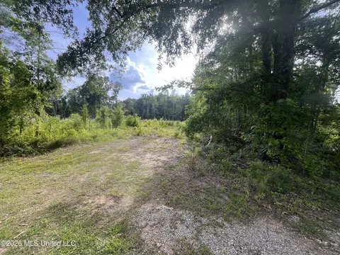 Pettey Road, Forest, MS 39074