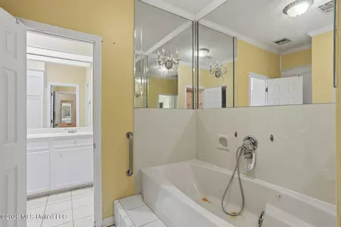 Bath - 375 Heritage Pl, Jackson, MS 39212 photo 2 of 6