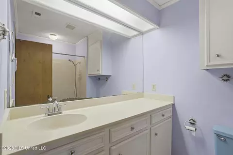 Bath - 375 Heritage Pl, Jackson, MS 39212 photo 5 of 6