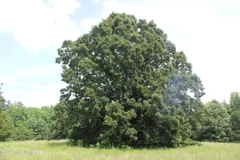 0 Turner Cv, Holly Springs, MS 38635