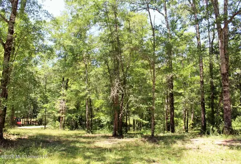 2 88ac Morrison Dr, Lucedale, MS 39452 photo 2