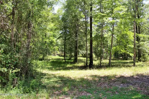 2 88ac Morrison Dr, Lucedale, MS 39452 photo 4