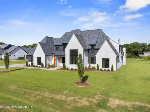 Exterior - 5424 Sophia Ln, Hernando, MS 38632 photo 10 of 11