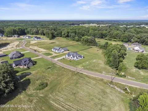 View/Area - 5424 Sophia Ln, Hernando, MS 38632 photo 2 of 2