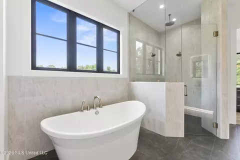 Bath - 5424 Sophia Ln, Hernando, MS 38632 photo 7 of 8