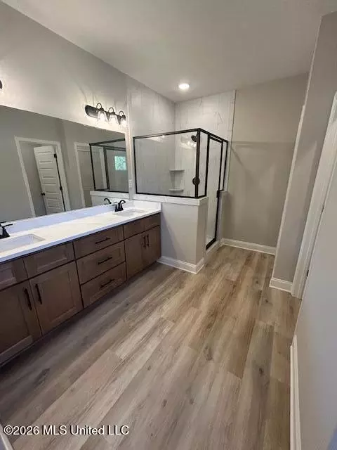 Bath - 6089 E River Birch Rd, Walls, MS 38680 photo 3 of 4