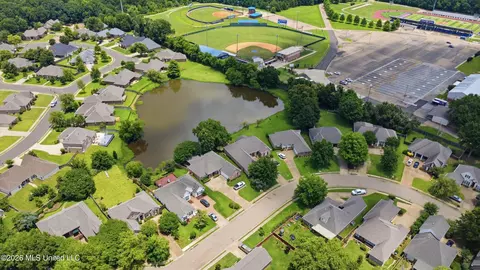 View/Area - 729 Danforth Dr, Madison, MS 39110 photo 2 of 3