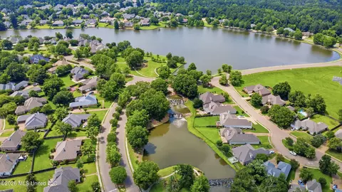 View/Area - 729 Danforth Dr, Madison, MS 39110 photo 3 of 3