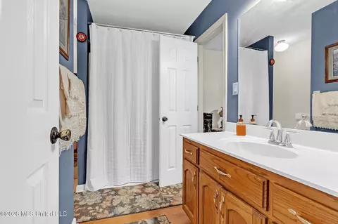 Bath - 2184 Shady Grove Cv, Hernando, MS 38632 photo 3 of 5