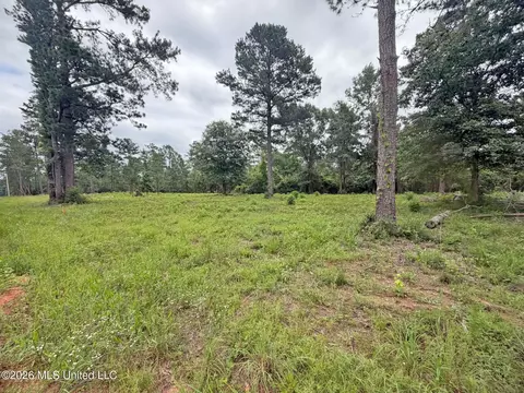5 N Acres N Old 63 N Hwy, Lucedale, MS 39452