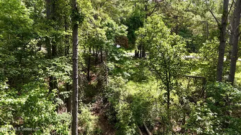 New Hope Road, Como, MS 38619 photo 10