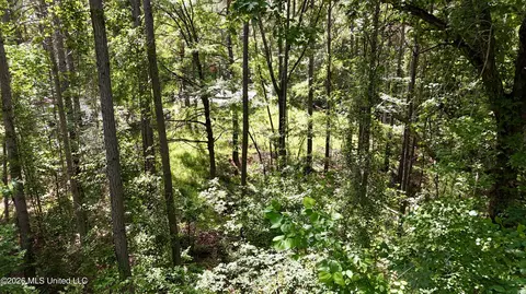 New Hope Road, Como, MS 38619 photo 8