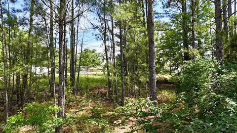 New Hope Road, Como, MS 38619 photo 17