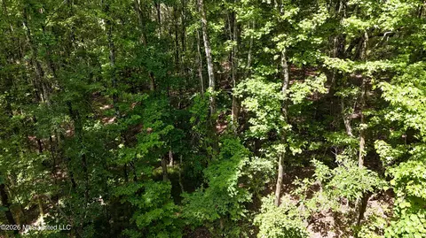 New Hope Road, Como, MS 38619 photo 11