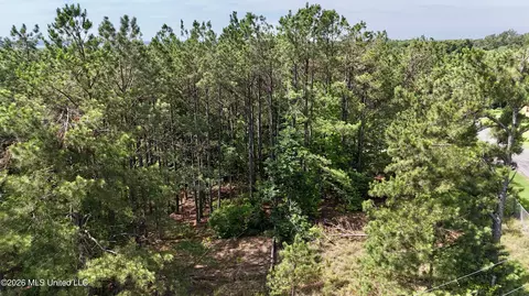 New Hope Road, Como, MS 38619 photo 18