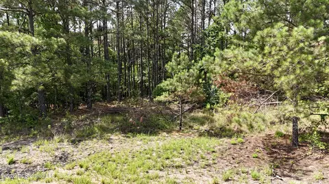 New Hope Road, Como, MS 38619 photo 16