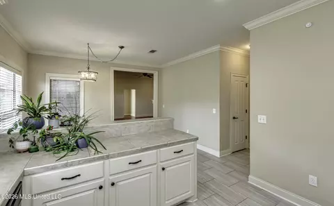 Entry Way - 126 W Pinebrook Dr, Brandon, MS 39047 photo 3 of 4