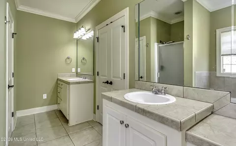 Bath - 126 W Pinebrook Dr, Brandon, MS 39047 photo 4 of 6