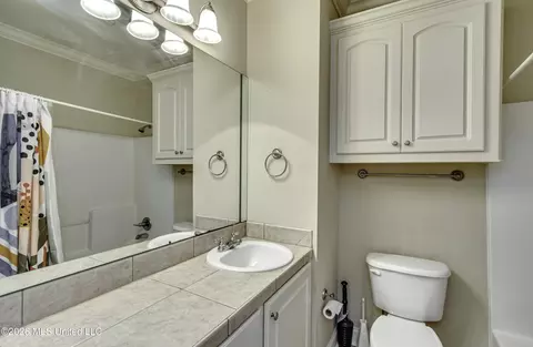 Bath - 126 W Pinebrook Dr, Brandon, MS 39047 photo 6 of 6