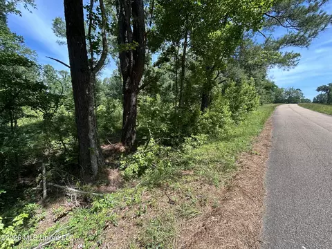Sleepy Hollow Road, Terry, MS 39170 photo 5