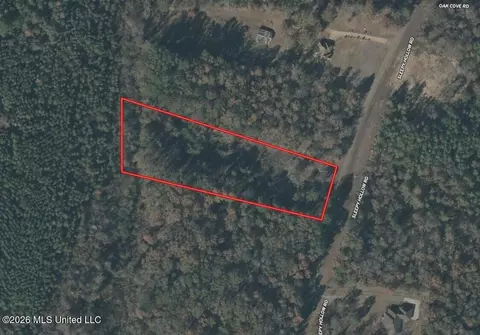 Sleepy Hollow Road, Terry, MS 39170