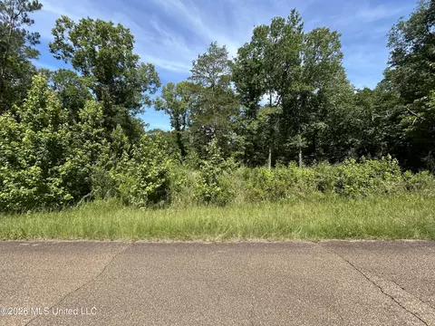Sleepy Hollow Road, Terry, MS 39170 photo 3
