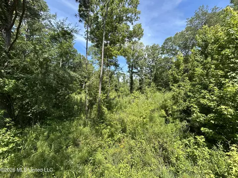 Sleepy Hollow Road, Terry, MS 39170 photo 6