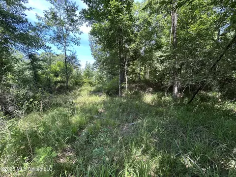 Sleepy Hollow Road, Terry, MS 39170 photo 4
