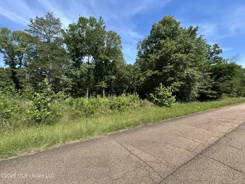 Sleepy Hollow Road, Terry, MS 39170 photo 9