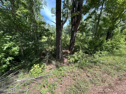 Sleepy Hollow Road, Terry, MS 39170 photo 8